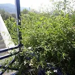 Lejlighedshotel Alkistis Skopelos